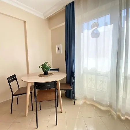 Center Spacious Flat No9 Apartment Istanbul